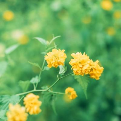 暴走传奇内购破解版下载
